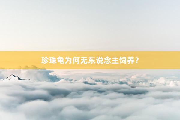 珍珠龟为何无东说念主饲养?